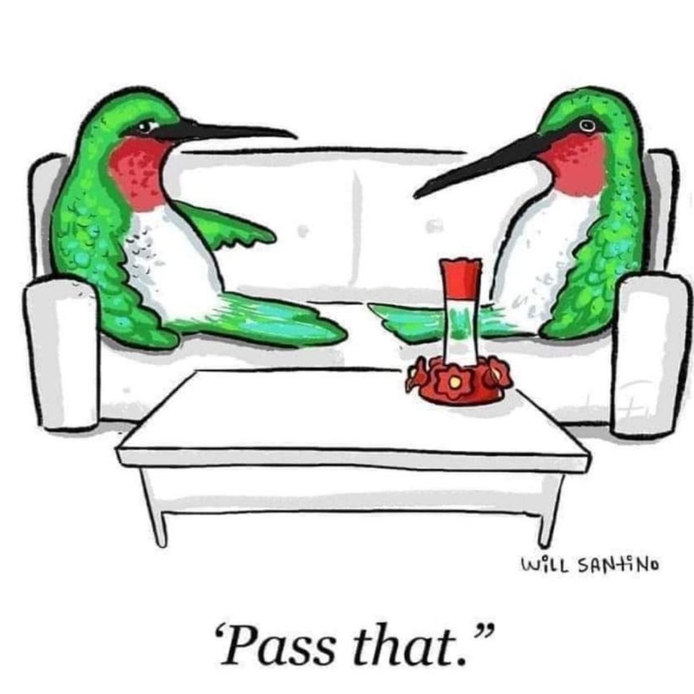 Meet your Posher, Jen